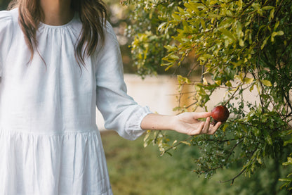 Phoebe Long Sleeve Maxi Dress