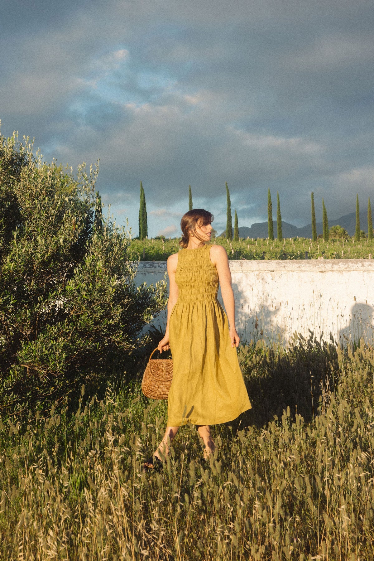 Goldie Shirred Bodice Dress