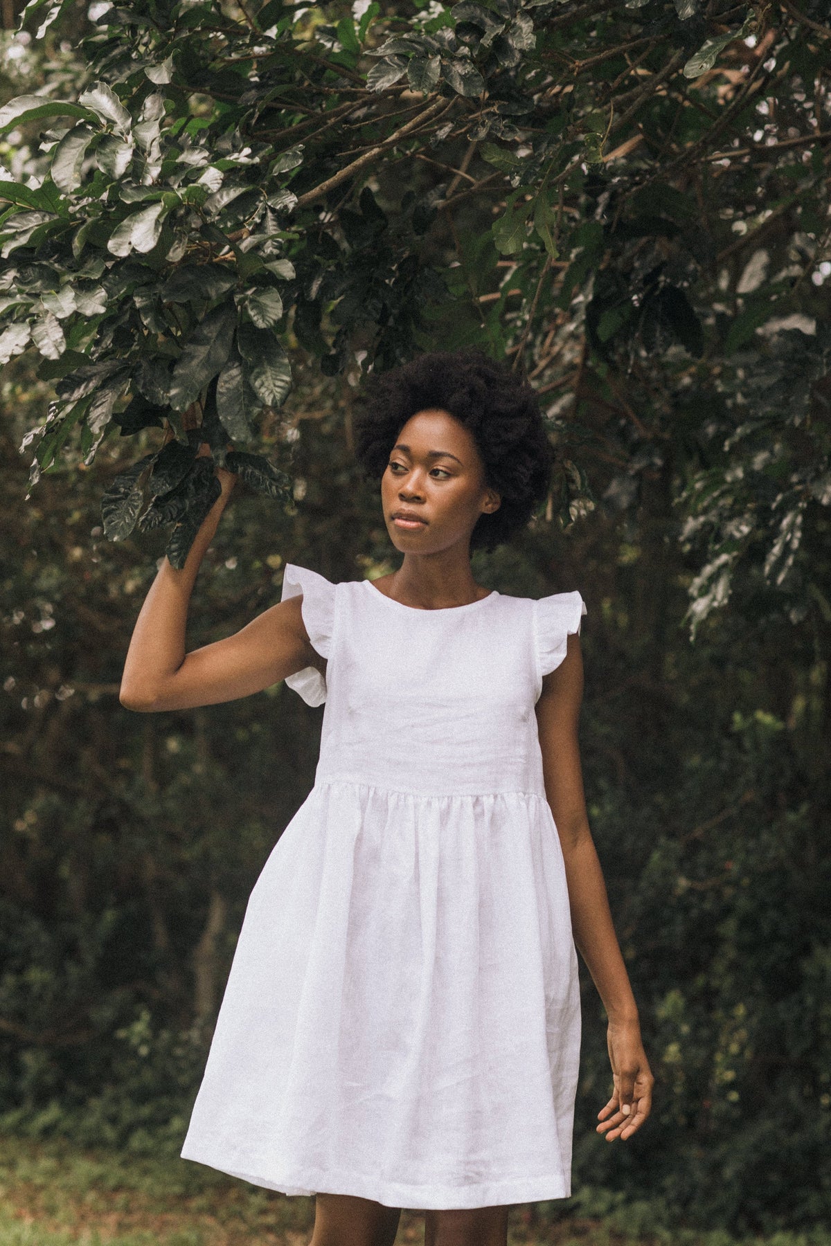Fenn Frill Sleeve Dress